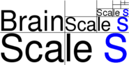 Brain-i-Nets Logo